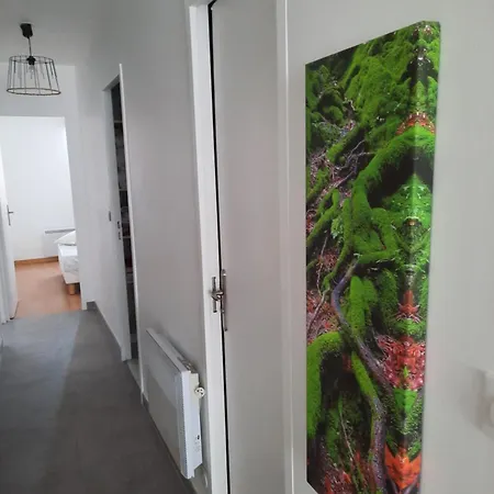 3 Spacieux Pres Des Plages A 公寓