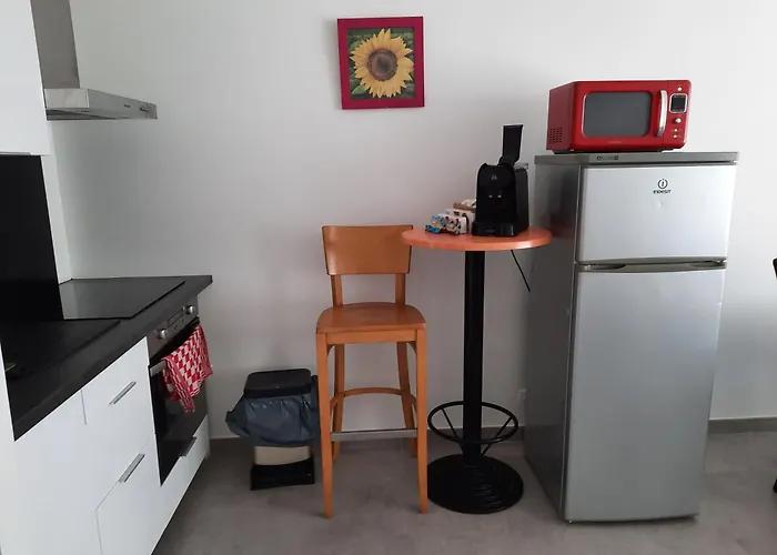 3 Spacieux Pres Des Plages A * 尼斯