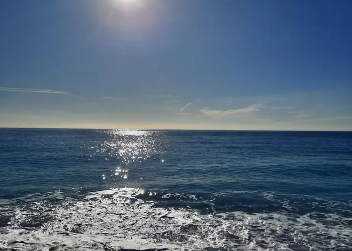 3 Spacieux Pres Des Plages A 公寓